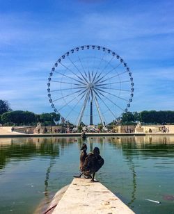 Ferris wheel by lake against sky