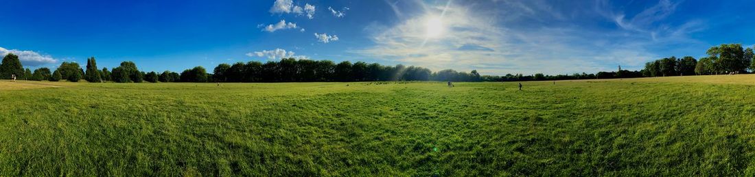 Green nature with a blue sky