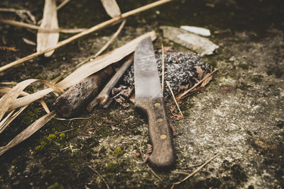 High angle view of snake on field