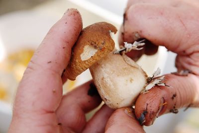 Cropped image of hands peeling mushroom