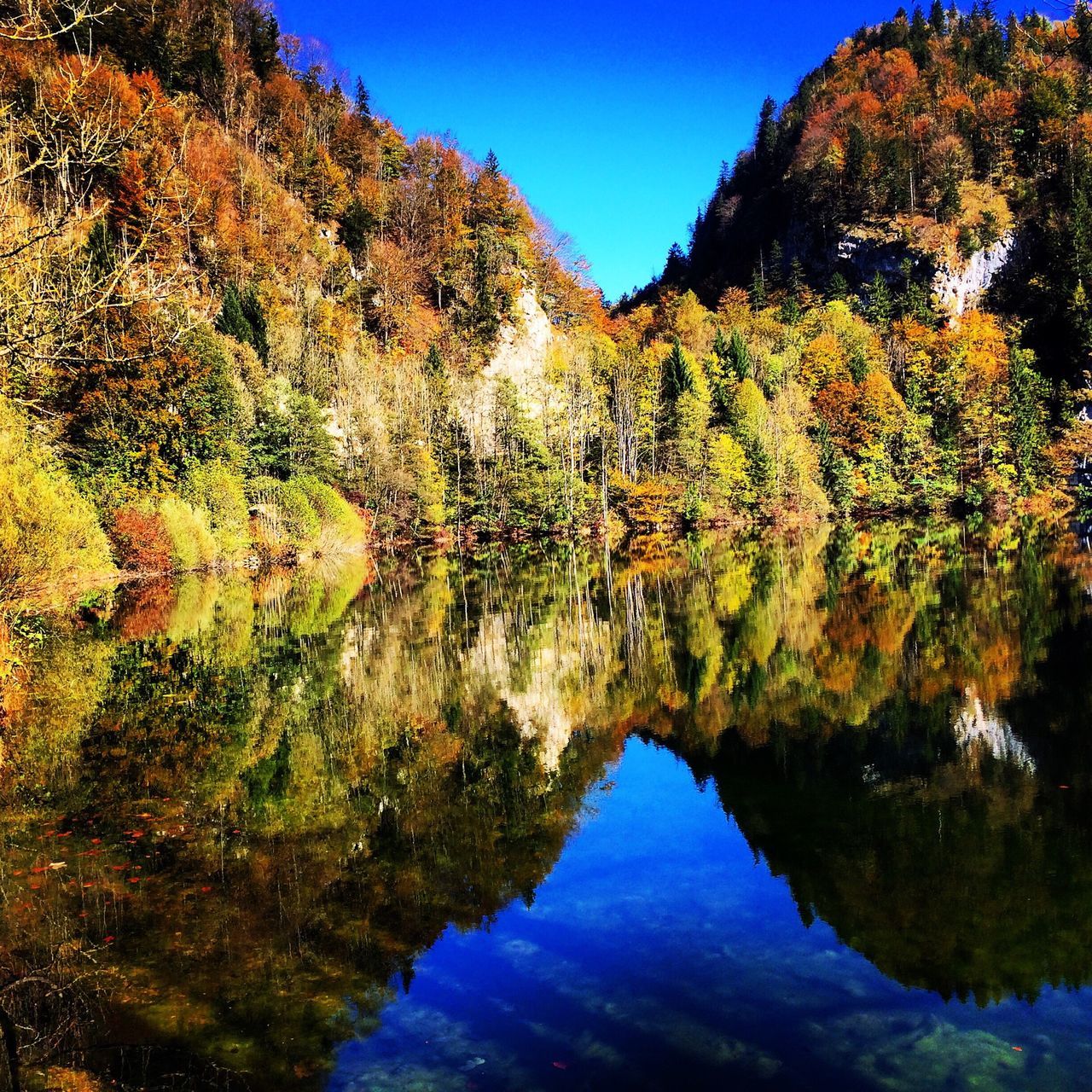 water, reflection, tranquility, tranquil scene, scenics, beauty in nature, blue, tree, nature, lake, waterfront, mountain, idyllic, sky, clear sky, sunlight, standing water, non-urban scene, river, rock - object