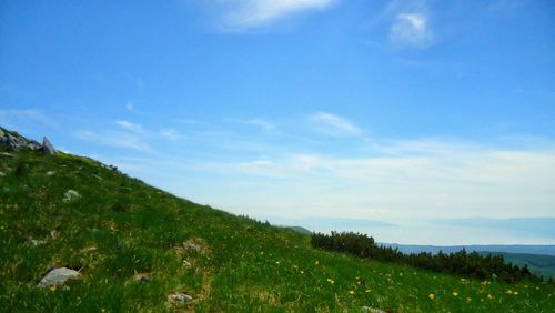 Scenic view of grassy field against cloudy sky