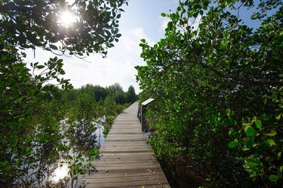 Walkway amidst trees against sky