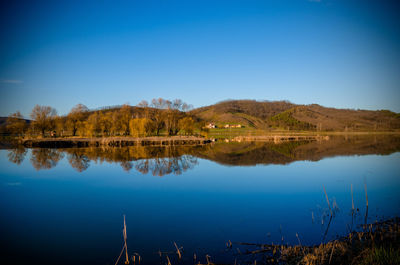 Reflection of trees in calm lake