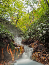 Scenic view of waterfall in forest