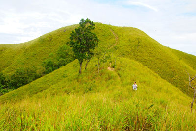 Scenic view of green landscape against sky
