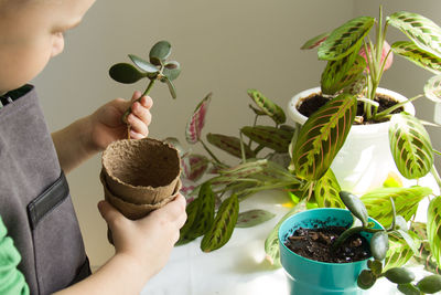 Midsection of man holding small potted plant