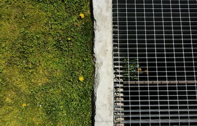 High angle view of metal grate on window