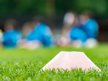 Close-up of ball on grass in field