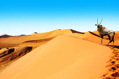 Scenic view of desert against clear sky