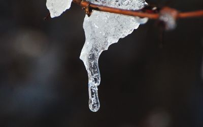 Close-up of frozen water