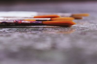 Close-up of paintbrushes on table