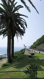 Scenic view of calm sea against clear sky