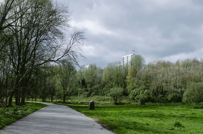 Road amidst trees against sky