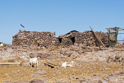 A built structure made of stones for goats and sheeps in patmos, greece