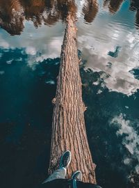 Low section of bare tree by lake against sky