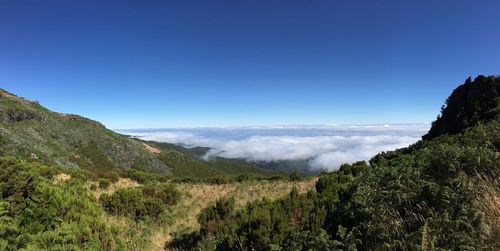 Scenic view of landscape against clear blue sky