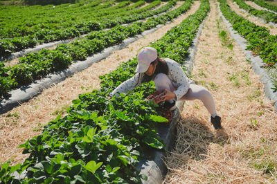 High angle view of woman sitting on field