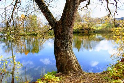 Reflection of trees in lake against sky