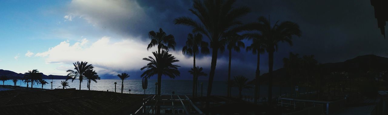 sky, palm tree, cloud - sky, sea, tree, water, silhouette, beach, nature, scenics, tranquility, beauty in nature, dusk, tranquil scene, cloud, transportation, incidental people, blue, shore, outdoors