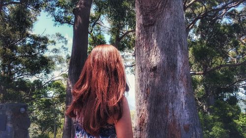 Rear view of woman standing by tree in forest