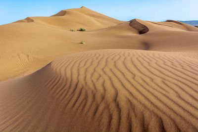 Sand dunes in desert