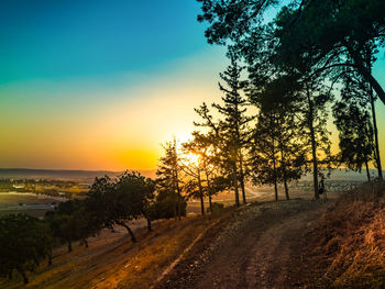 Road by trees on beach against sky at sunset