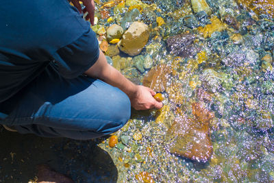 Close-up of man holding rock in water