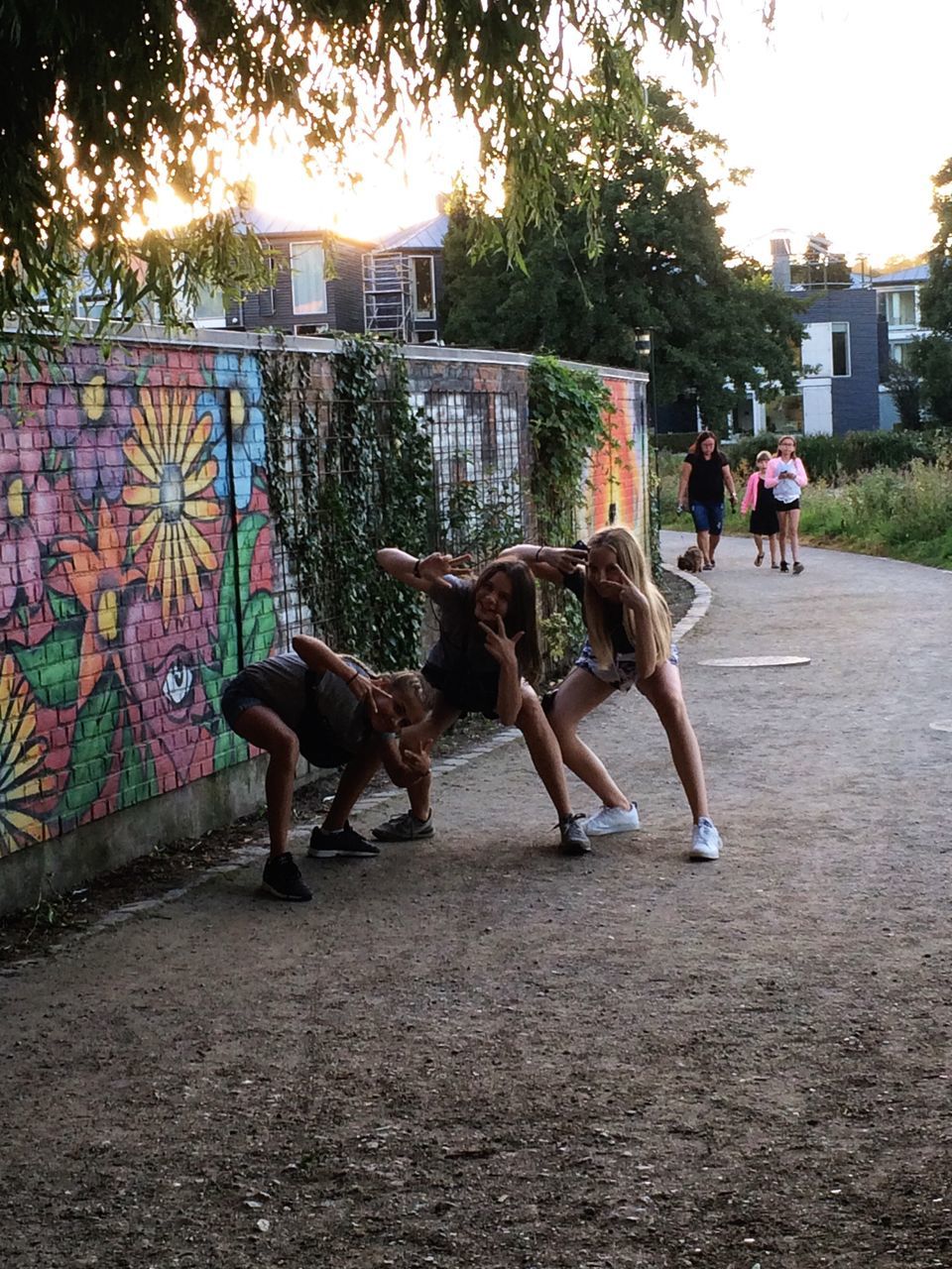 HIGH ANGLE VIEW OF DOG WALKING ON ROAD