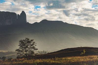 Scenic view of landscape against sky