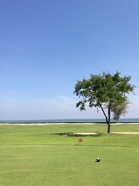 Tree on grassy field against clear blue sky