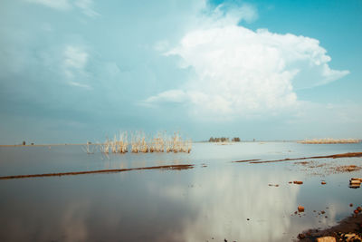 Scenic view of lake against sky