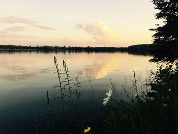 Scenic view of lake at sunset