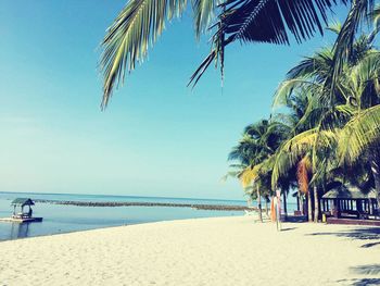 Scenic view of beach against clear sky