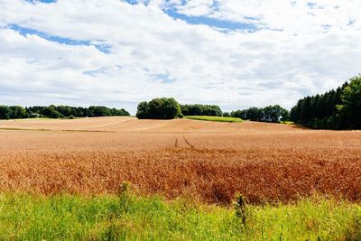 Scenic view of field against cloudy sky