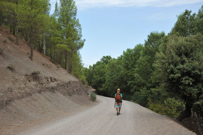 Rear view of man walking on road amidst trees