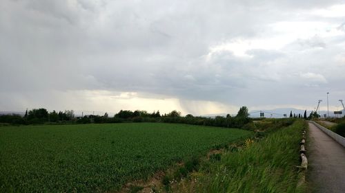 Scenic view of agricultural field against sky