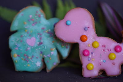 Close-up of multi colored candies