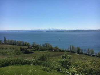 Scenic view of landscape against clear sky