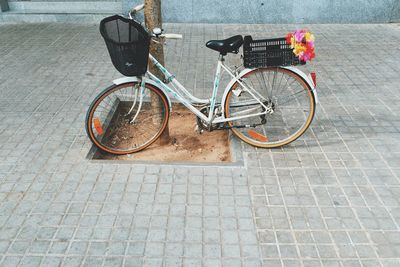 Side view of bicycles parked against tree trunk