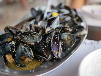 Close-up of mussels served in plate