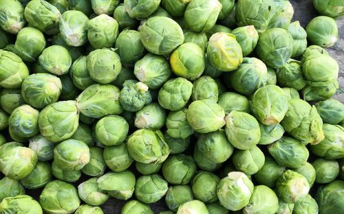 Full frame shot of fresh green market