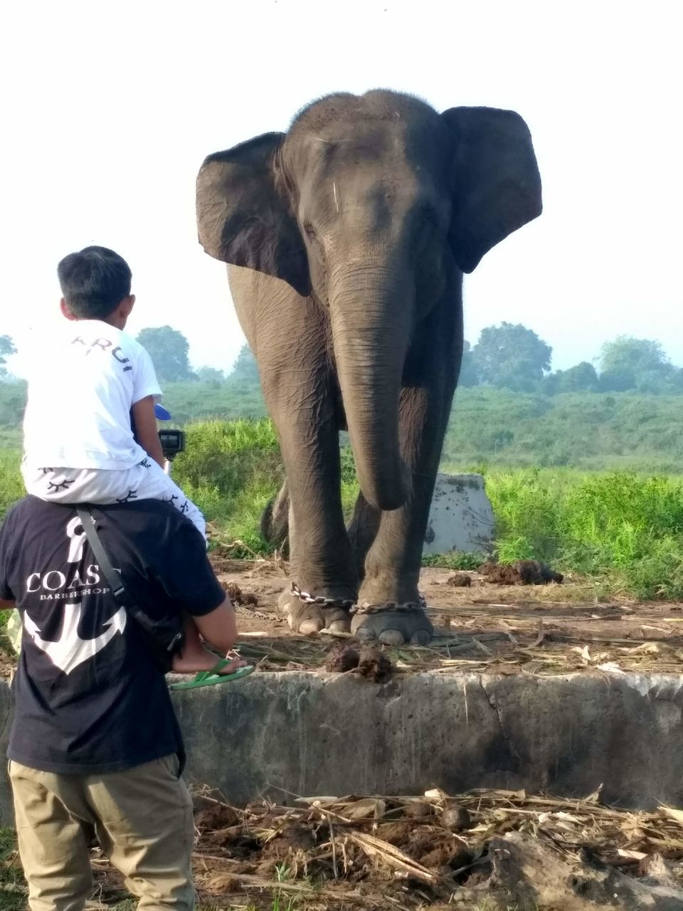 mammal, elephant, animal, animal themes, indian elephant, animal wildlife, men, one animal, animal body part, nature, rear view, wildlife, adventure, adult, person, land, asian elephant, clothing, standing, travel, safari, domestic animals, tourism, animal trunk, child, outdoors, day, full length, childhood, environment, plant, tree, african elephant, walking