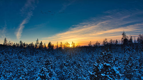 Scenic view of frozen field against sky during sunset