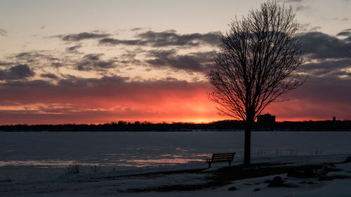 Silhouette bare trees on snow covered land during sunset