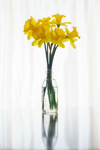 Close-up of yellow flower vase on table