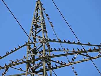 Low angle view of birds perching on metallic electricity pylon against sky