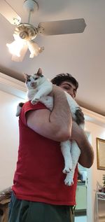 Low angle view of cat standing on ceiling at home