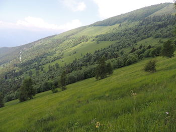 Scenic view of landscape against sky