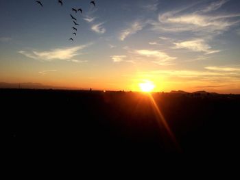 Silhouette of trees at sunset